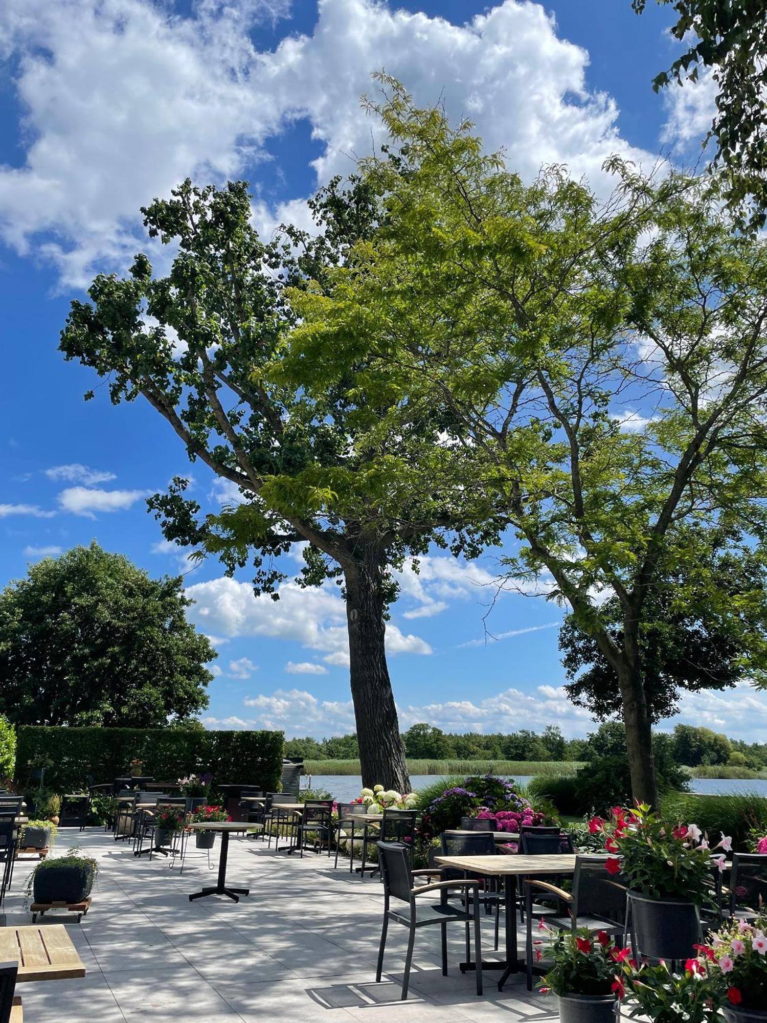 Restaurant-Hotel De Watergeus Noorden Zewnętrze zdjęcie